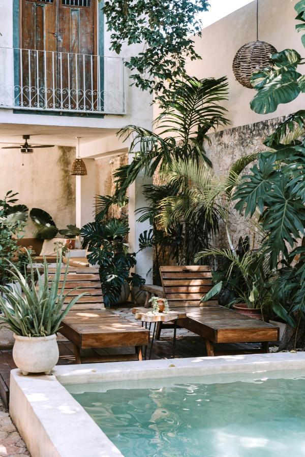 Casa Mezcla - Bed & Breakfast Mérida Kültér fotó