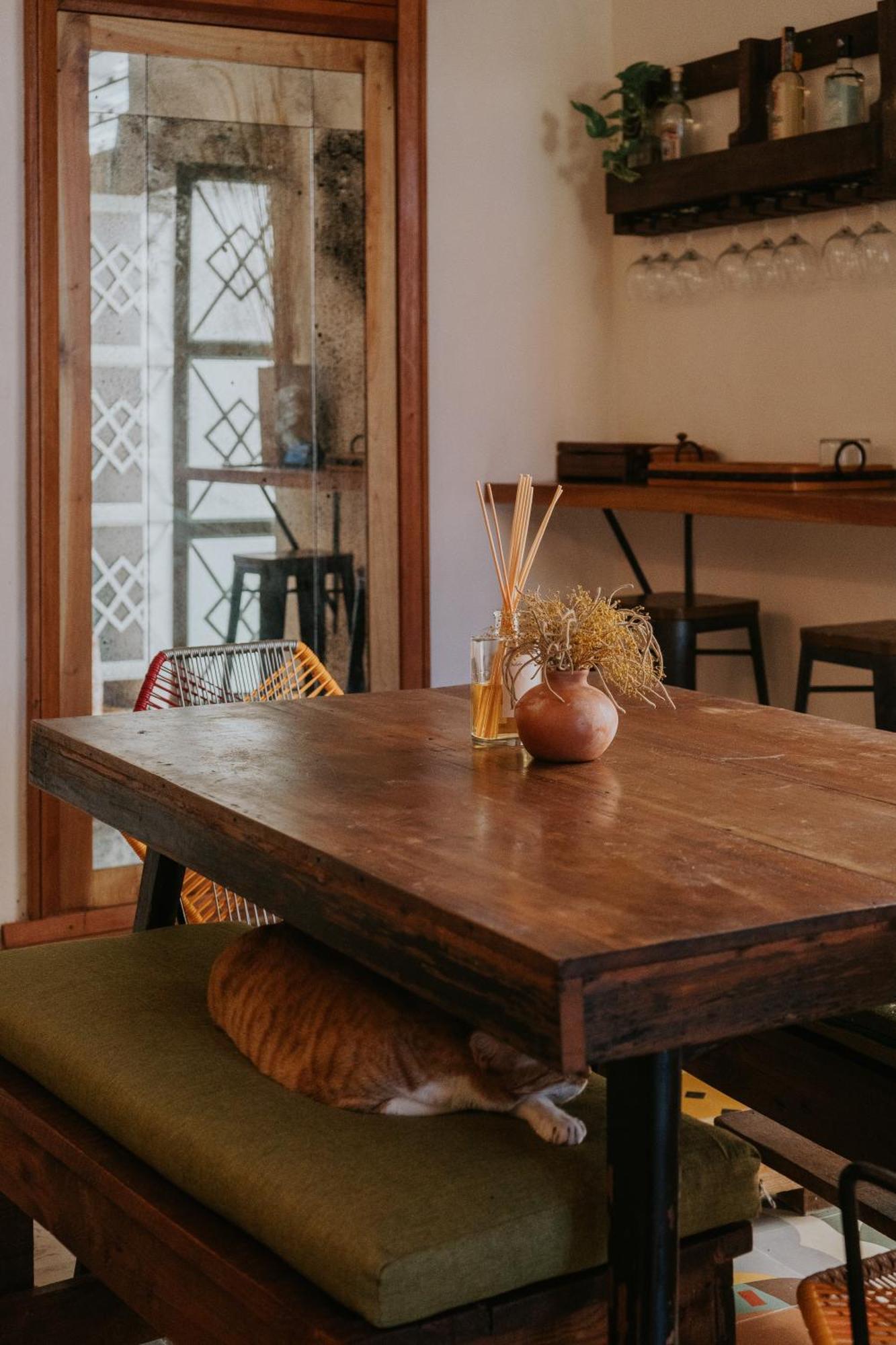 Casa Mezcla - Bed & Breakfast Mérida Kültér fotó